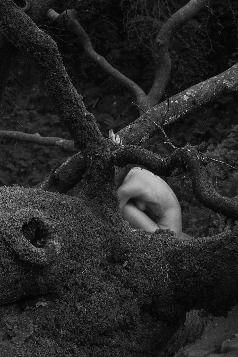 A person is curled up among thick, moss-covered tree branches in a forest. The black-and-white image evokes a sense of solitude and introspection.