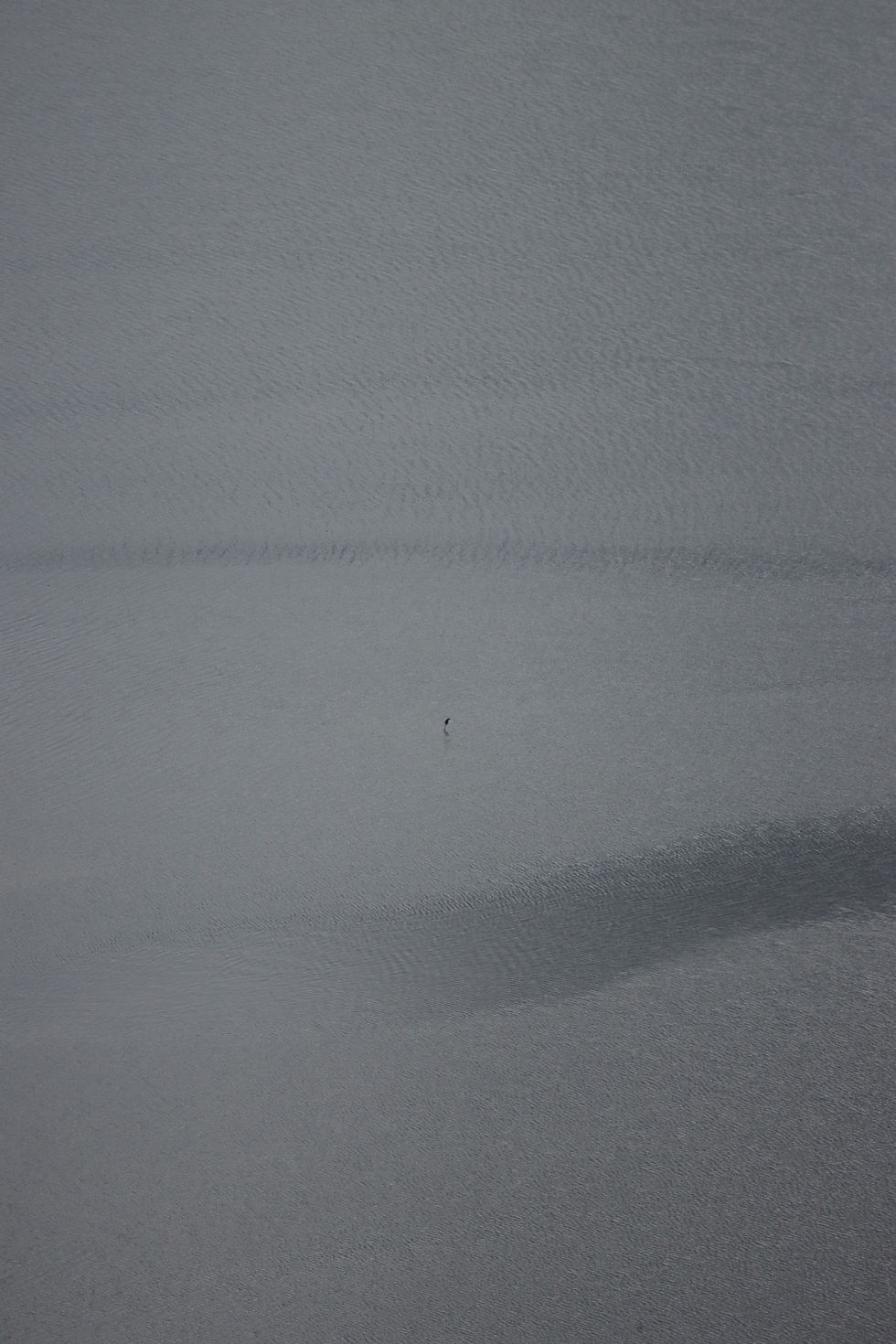 cover image for the art and culture page with a green and purple colour