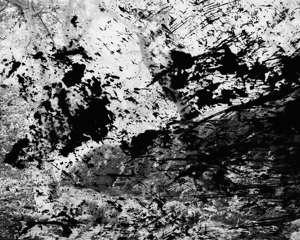 Abstract black and white image with splattered ink patterns and textured background, evoking a chaotic and dynamic atmosphere.