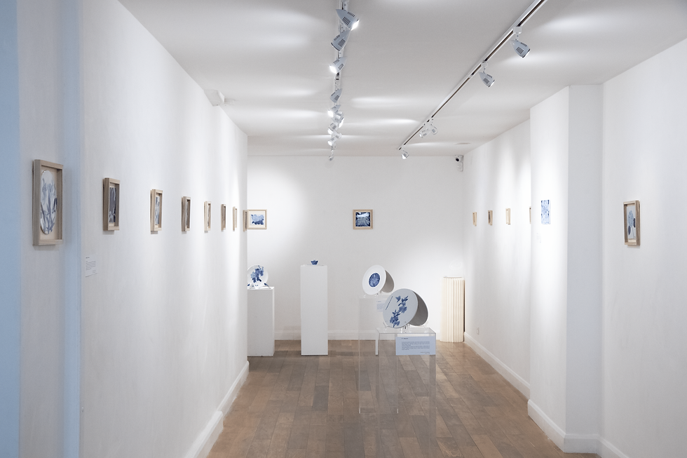 Art gallery with white walls displaying framed artworks and ceramics. Blue-toned patterns on plates and pictures, wooden floor, bright lighting.
