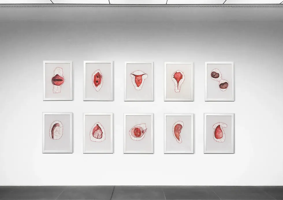 Ten abstract anatomical drawings in red hang on a white gallery wall, creating a minimalist and contemplative setting.
