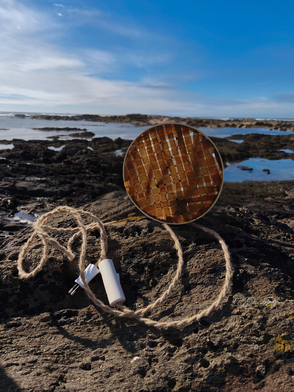 Untitled design (4).jpg