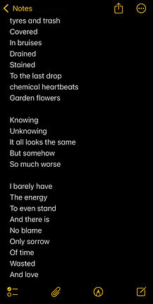 Photo 13-4-2025, 11 06 29 am (2) (1).jpg