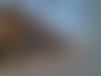 February newsletter!