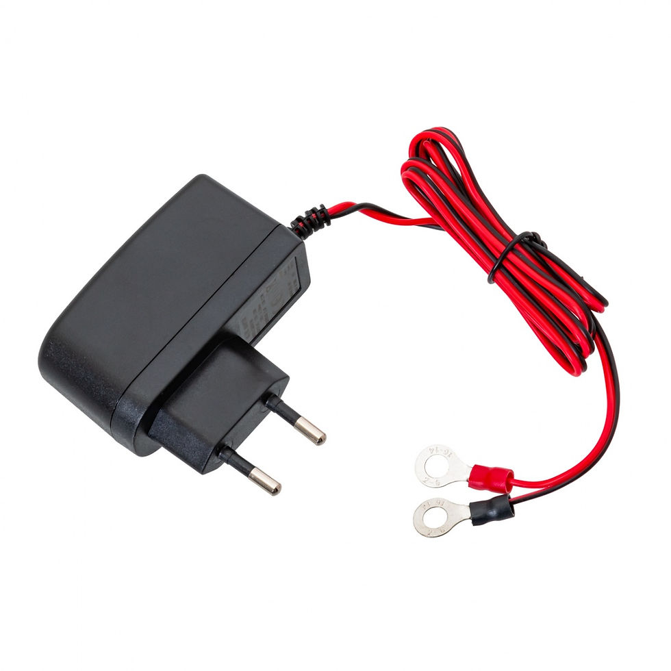 Sličica: DL 10000 električni pastir: 12 V, 10 J + adapter