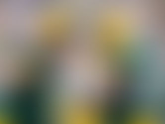 Restored Chemistry with Cobb Could be the Difference in 2021