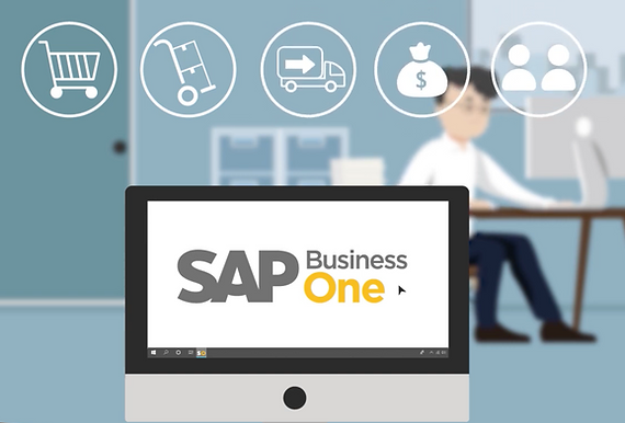 ApiData SAP Business One Partner.png