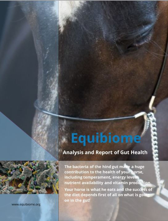 Why do a Test on the Equine Hind Gut?