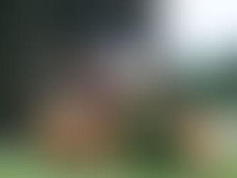 Plant Chemicals on the FEI/BHA Banned Substances List