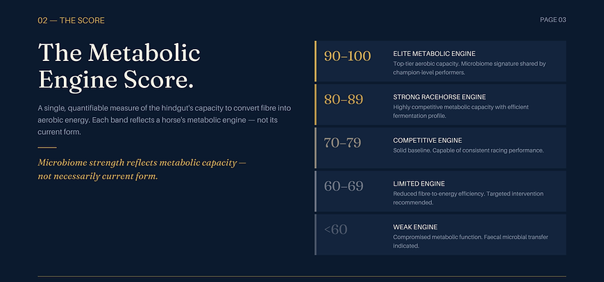 The MES Scale (1).png