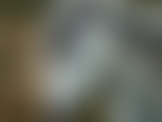 Equine Metabolic Syndrome in Horses