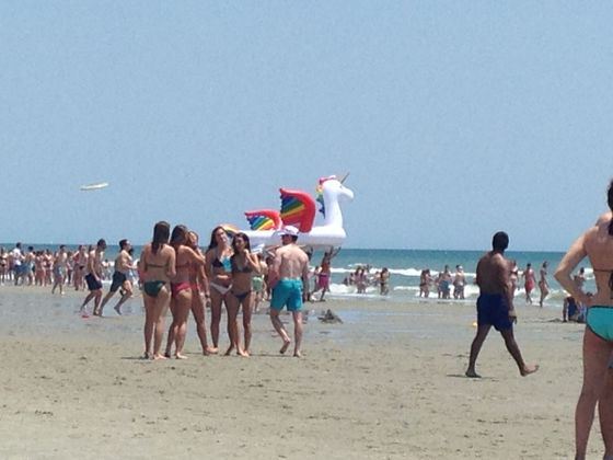 Chapter 25 - Best Beach Ever