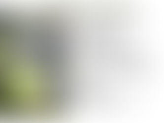 Dholera SIR: India’s First Planned Greenfield Smart City