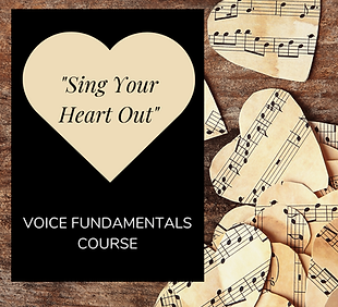 SYHO VFC Thumbnail  (1080 × 1080 px).png