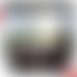 Slow Down. Save Lives.