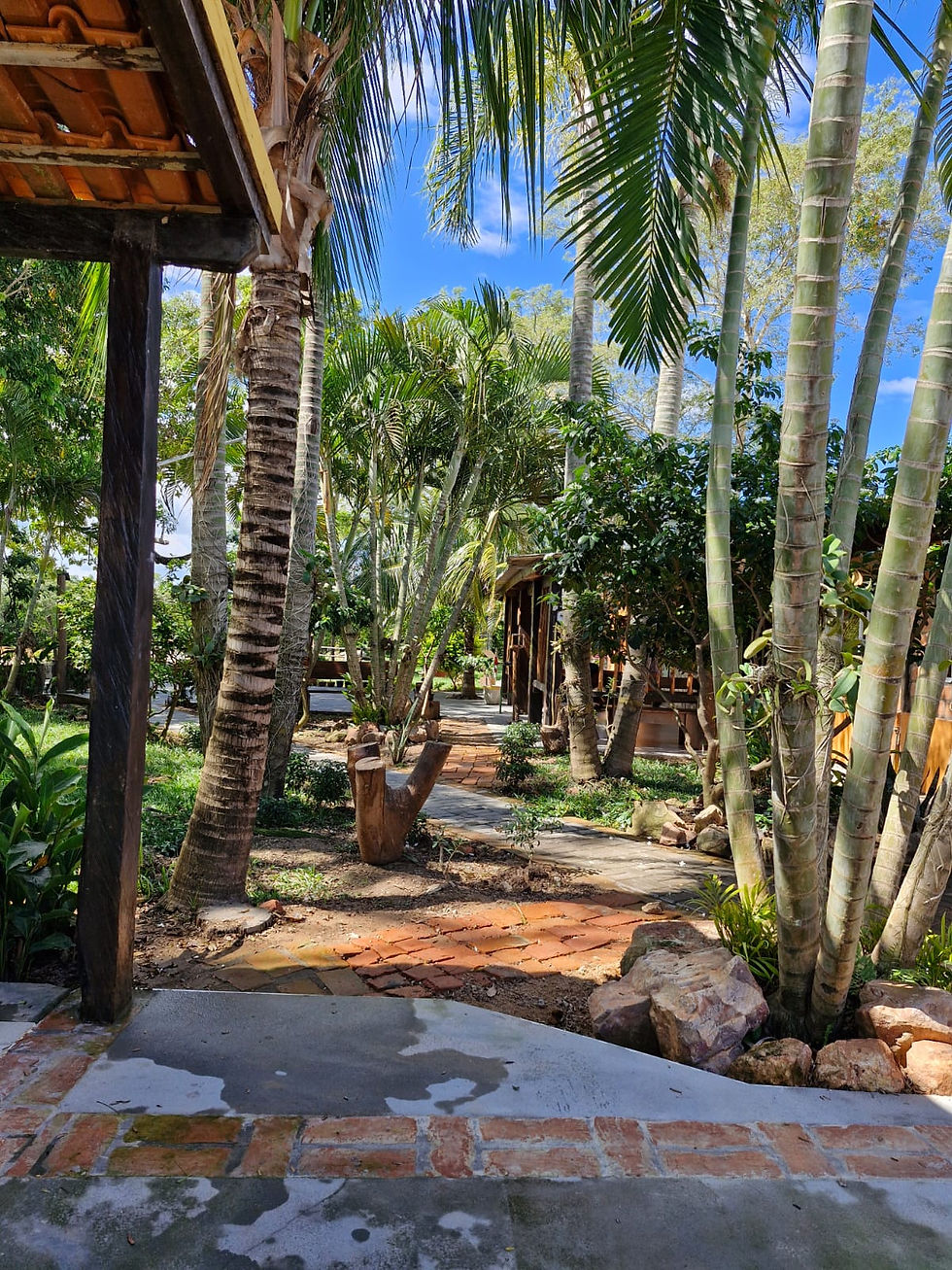 Miniatura: POUSADA PANTANAL NORTE - Barão de Melgaço - MT