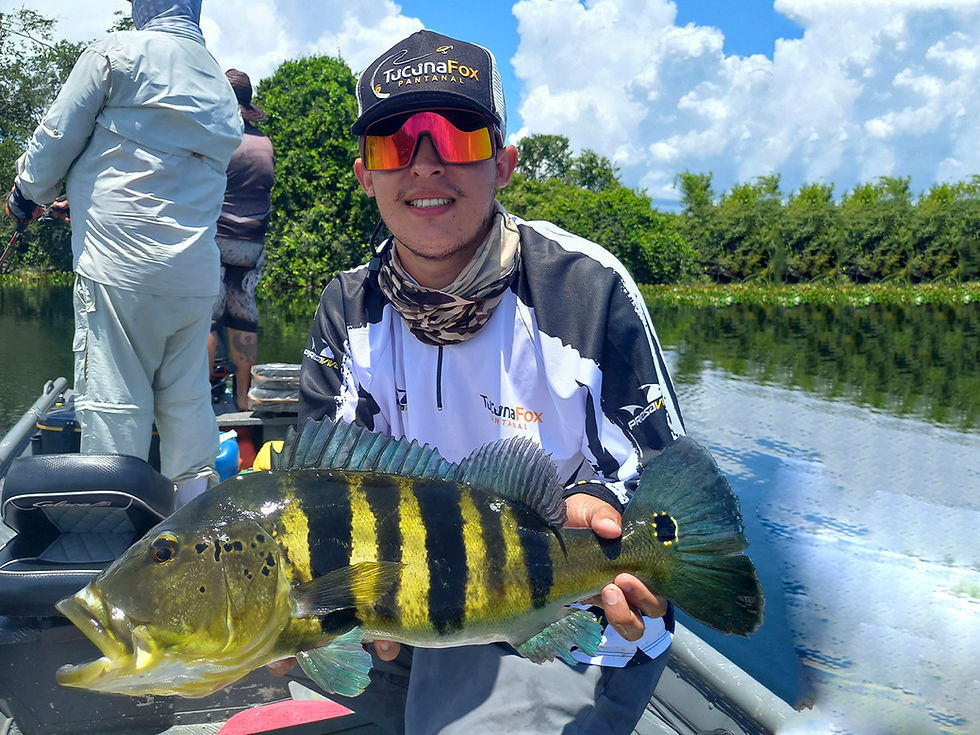 Miniatura: TUCUNA FOX - Corumbá - MS