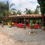 Miniatura: POUSADA PESCA TOCANTINS - Tocantins - TO