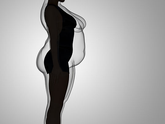 AdobeStock_336124168.jpeg
