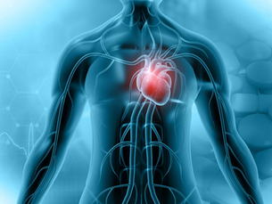 4 Heart-Healthy Habits That Could Add Years to Your Life