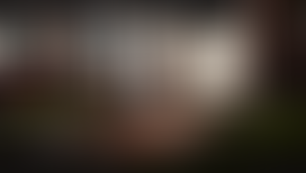 DEVASTATION WROUGHT BY CRIMINAL GANGS SQUATTING IN LONDON EXPOSED IN NEW REPORT