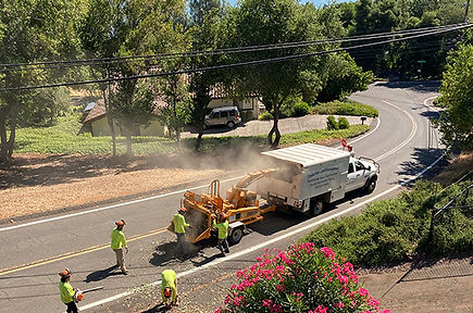 Chipping crew July 25 1.jpg