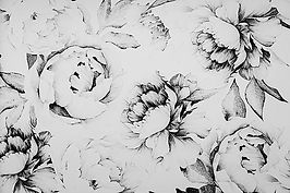 floral background.jpg