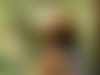 EL ARTE DE VIAJAR - TURISMO SUSTENTABLE 