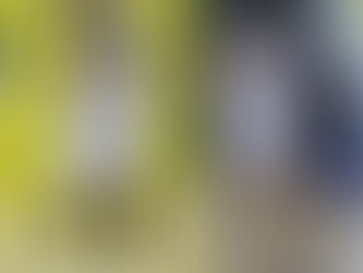 WSBL/ 台元紡織對中華電信 84:68