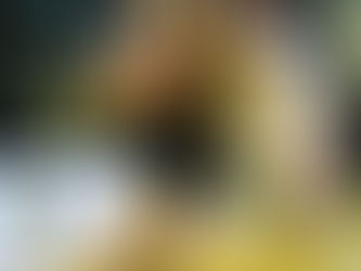 PLG/ 20221113 新北國王主場大炒新竹街口攻城獅35分 113:78