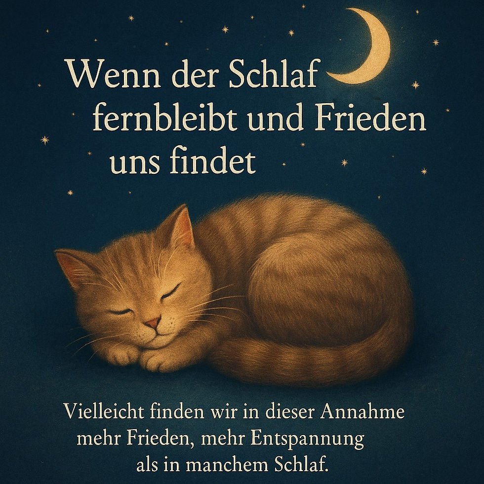 Postkatz #15 - Schlaf