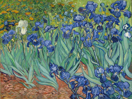 What Does an ‘Unforgettable, Multi-Sensory Experience’ Have to Do with Vincent Van Gogh?