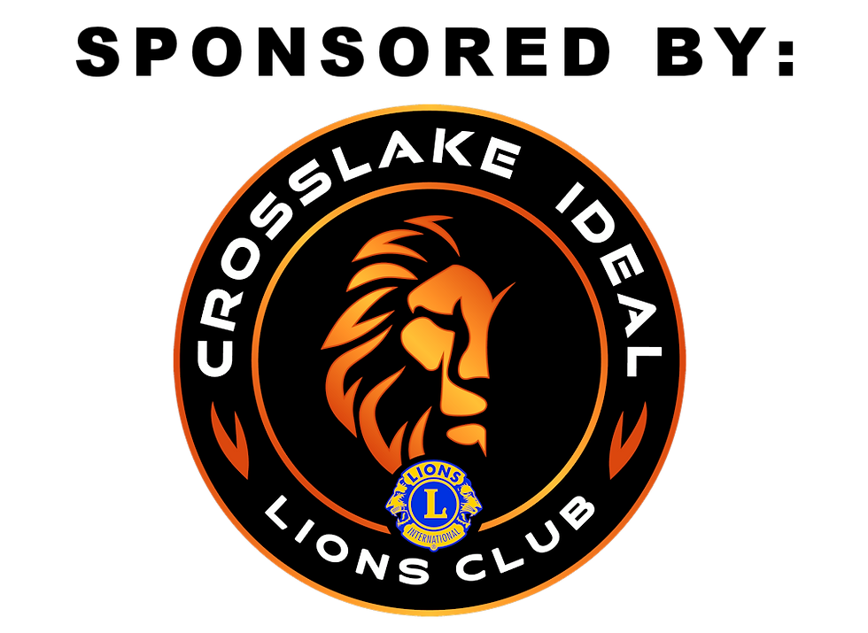 SB_Lions.png