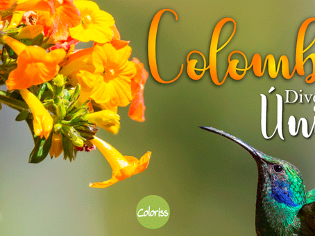 ¡COLOMBIA ES BIODIVERSIDAD ÚNICA!