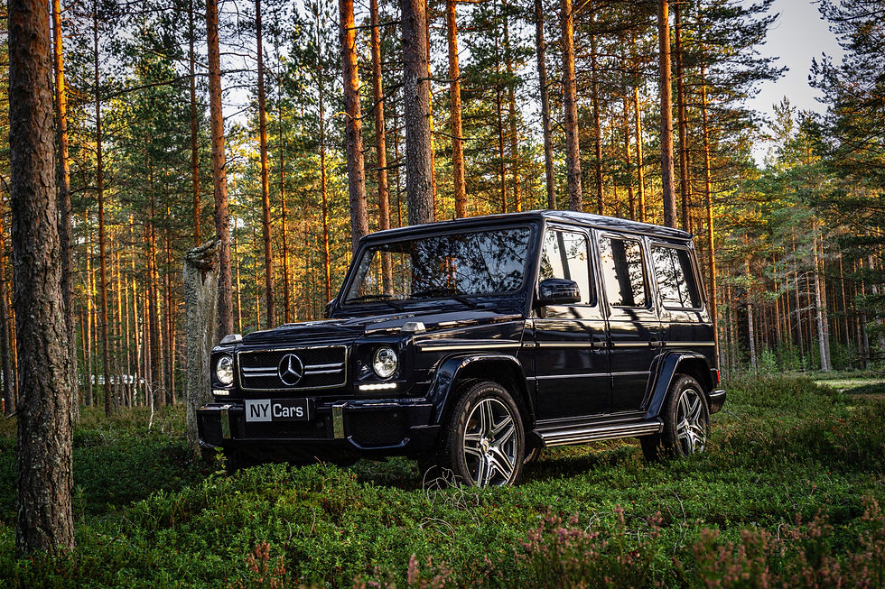 Thumbnail: SOLD! Mercedes-Benz G 270 -06
