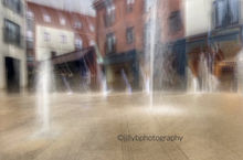 Herts family pet portrait photographer