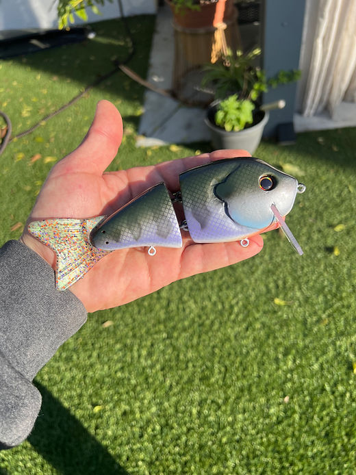 Wade Hoggs (Silver Gill) | Toxic Baits