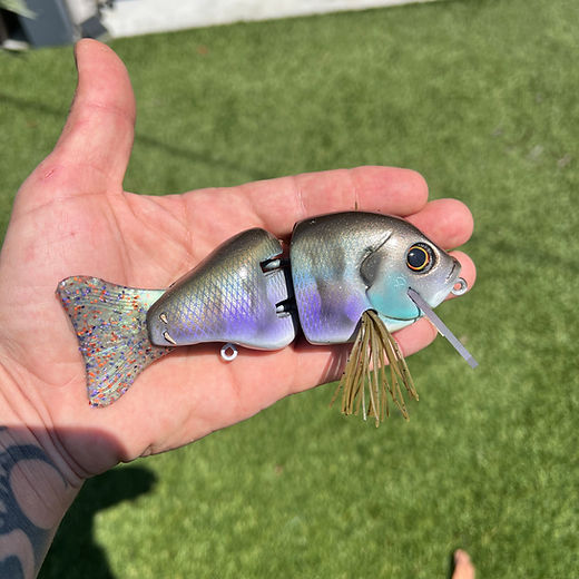 Hard Baits | Toxic Baits