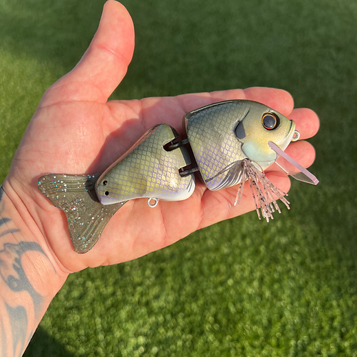 Hard Baits | Toxic Baits