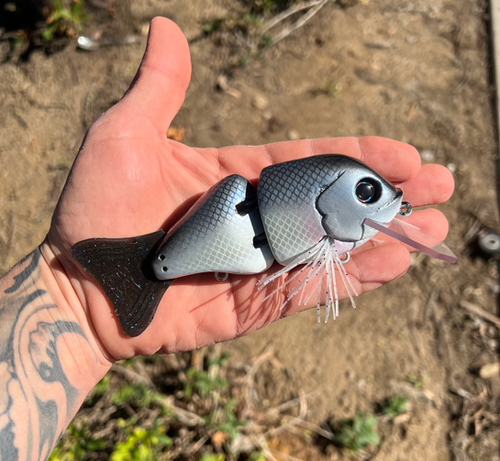 Whippersnapper 2.0 "DD" Deep Diver (Blue Shad)