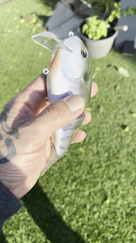 Wade Hoggs (Silver Gill) - Image 2