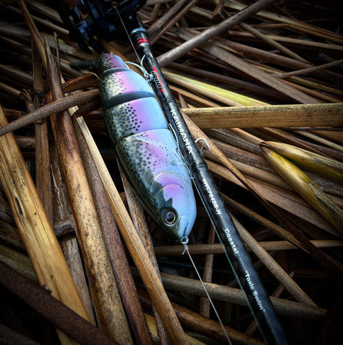 Trucha Masu Slow Sink (Paint to Order) | Toxic Baits