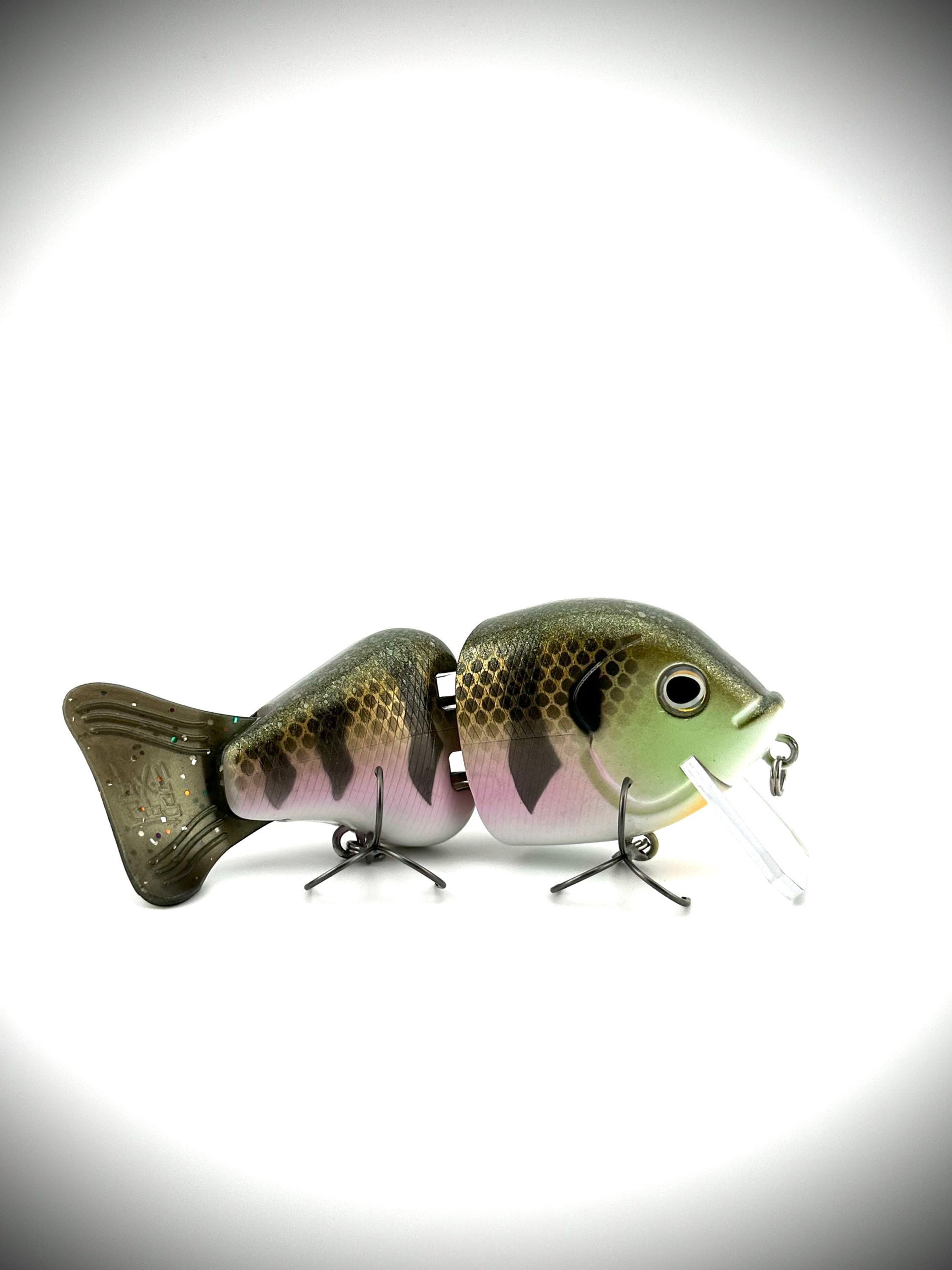 ABS Wade Hoggs Jr. (Toxic Gill)