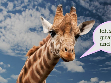 Neue Schulsozialarbeiterin stellt sich vor