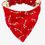 Thumbnail: Candy Cane Bird