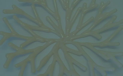 Coral blue 67.jpg