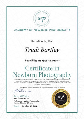 ANP_Certificate.jpg