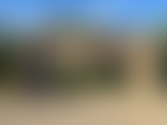 Slow and Steady: The Path to Progress