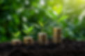 AdobeStock_1159367559 coins w plants.jpeg