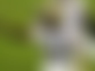 Report: Saints Cornerback Agrees to Contract Restructure 